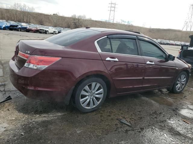 2011 Honda Accord EXL