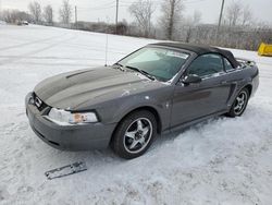 Ford salvage cars for sale: 2003 Ford Mustang