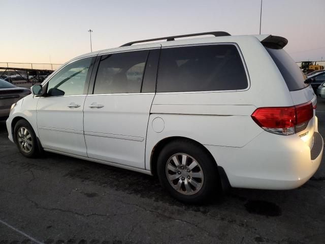 2010 Honda Odyssey EXL