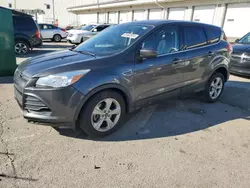 Salvage cars for sale at Louisville, KY auction: 2015 Ford Escape SE