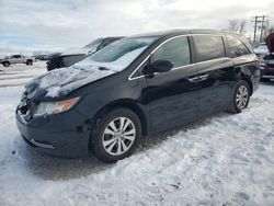 Honda Odyssey se salvage cars for sale: 2016 Honda Odyssey SE