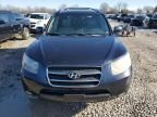 2007 Hyundai Santa FE SE