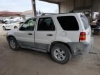 2006 Ford Escape XLT