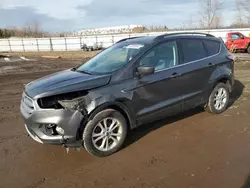 Salvage cars for sale at Columbia Station, OH auction: 2017 Ford Escape SE