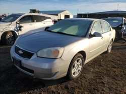 Salvage cars for sale at Brighton, CO auction: 2006 Chevrolet Malibu LT