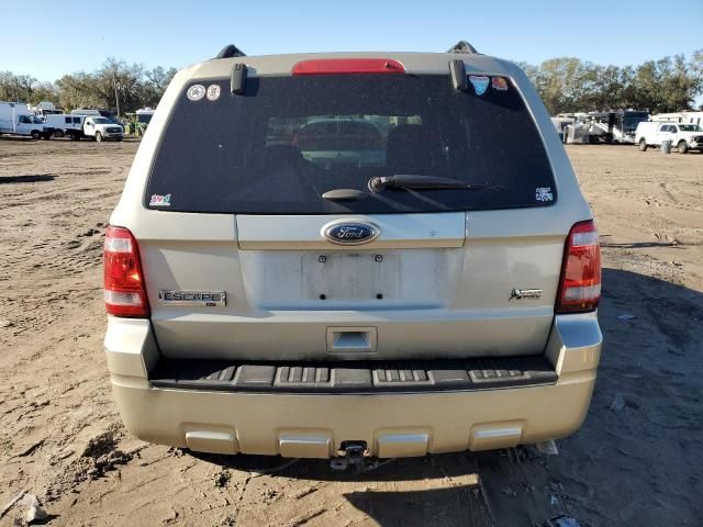 2012 Ford Escape XLT