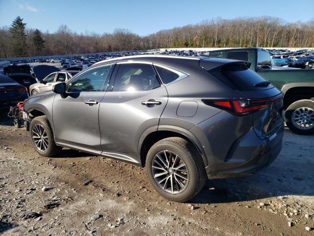 2024 Lexus NX 350 Premium