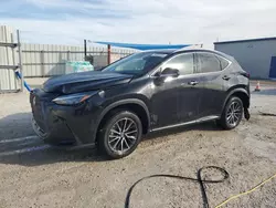 Salvage cars for sale at Arcadia, FL auction: 2024 Lexus NX 350 Premium