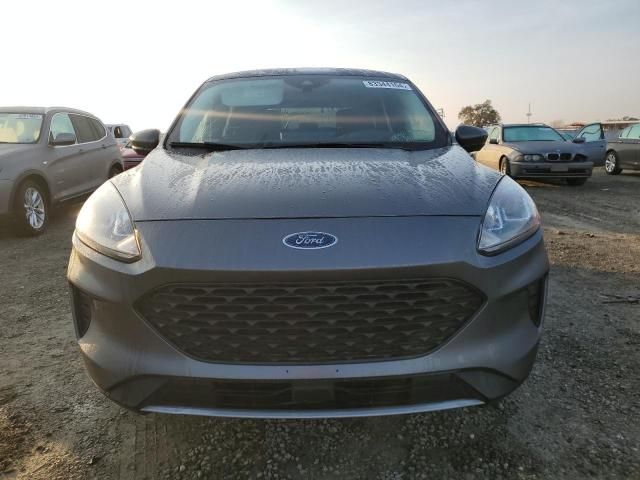 2023 Ford Escape ACT