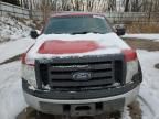 2010 Ford F150