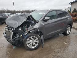 2020 Hyundai Tucson Limited en venta en Louisville, KY