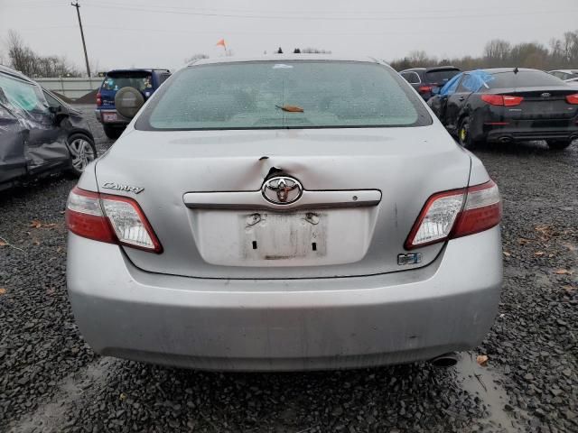 2008 Toyota Camry Hybrid