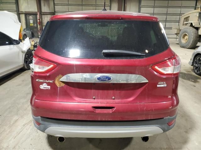 2013 Ford Escape SEL