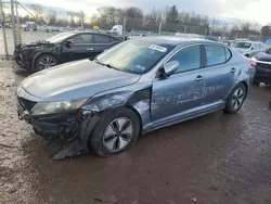 Salvage cars for sale at Chalfont, PA auction: 2011 KIA Optima Hybrid