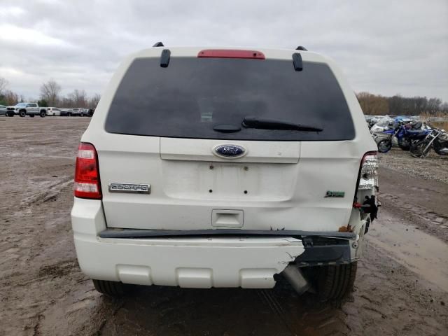 2011 Ford Escape XLT