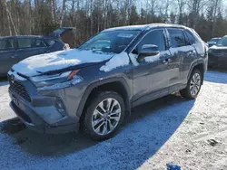 Salvage cars for sale from Copart Cookstown, ON: 2022 Toyota Rav4 XLE