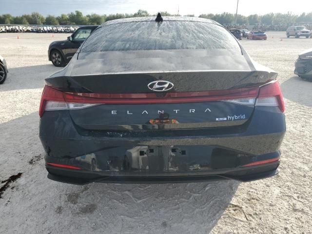 2023 Hyundai Elantra Blue