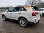 2014 KIA Sorento EX