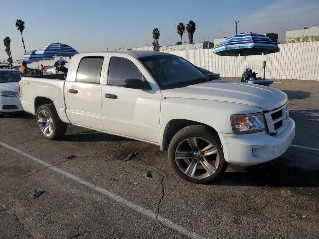 2011 Dodge Dakota SLT