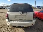 2009 Chevrolet Trailblazer LT