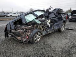 Salvage cars for sale at Eugene, OR auction: 2012 Ford Escape XLT