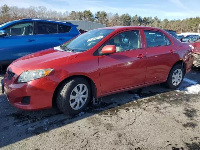 2010 Toyota Corolla Base