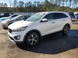 KIA salvage cars for sale: 2017 KIA Sorento EX