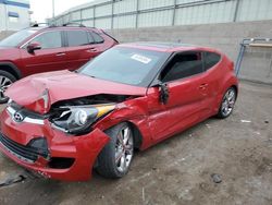 Salvage cars for sale at Albuquerque, NM auction: 2017 Hyundai Veloster