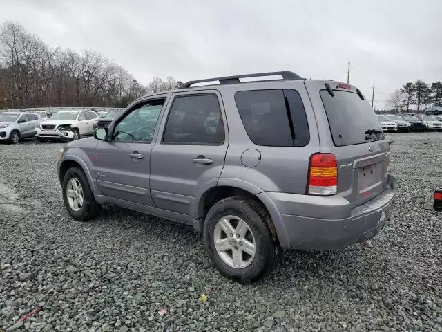 2007 Ford Escape HEV