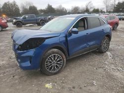 2022 Ford Escape SEL en venta en Madisonville, TN