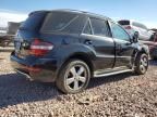 2011 Mercedes-Benz ML 350