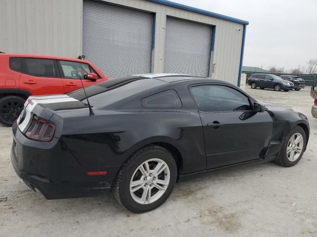 2013 Ford Mustang