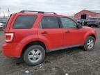 2009 Ford Escape XLT