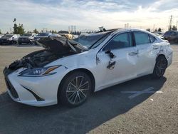 Salvage cars for sale from Copart Rancho Cucamonga, CA: 2024 Lexus ES 300H Base