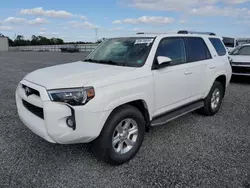 Toyota salvage cars for sale: 2019 Toyota 4runner SR5