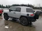 2007 Toyota FJ Cruiser