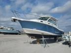 2018 Boston Whaler Boat Only