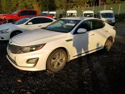 Vehiculos salvage en venta de Copart Graham, WA: 2014 KIA Optima Hybrid