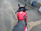 2024 Honda CBR500 RA