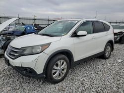 Honda crv Vehiculos salvage en venta: 2012 Honda CR-V EXL