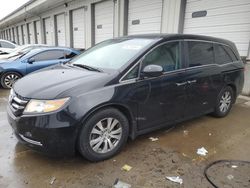 Vehiculos salvage en venta de Copart Louisville, KY: 2015 Honda Odyssey EXL