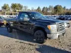 2009 Ford F150