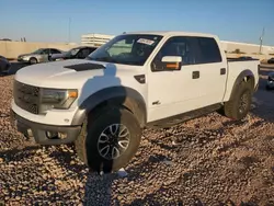 Salvage cars for sale at Phoenix, AZ auction: 2014 Ford F150 SVT Raptor