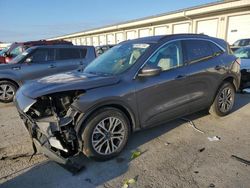 Salvage cars for sale at Louisville, KY auction: 2021 Ford Escape SEL