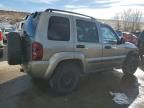 2005 Jeep Liberty Renegade