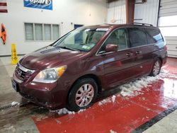 Salvage cars for sale at Angola, NY auction: 2010 Honda Odyssey EXL