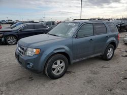 Salvage cars for sale at Indianapolis, IN auction: 2012 Ford Escape XLT