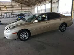 Salvage cars for sale at Phoenix, AZ auction: 2003 Lexus ES 300