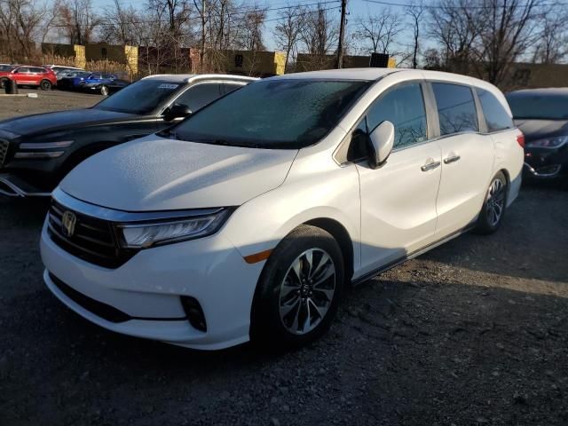 2021 Honda Odyssey EXL