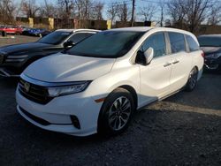 2021 Honda Odyssey EXL en venta en Marlboro, NY